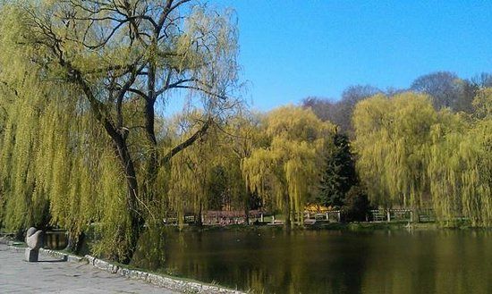 Spacery po Starówce Gdańska